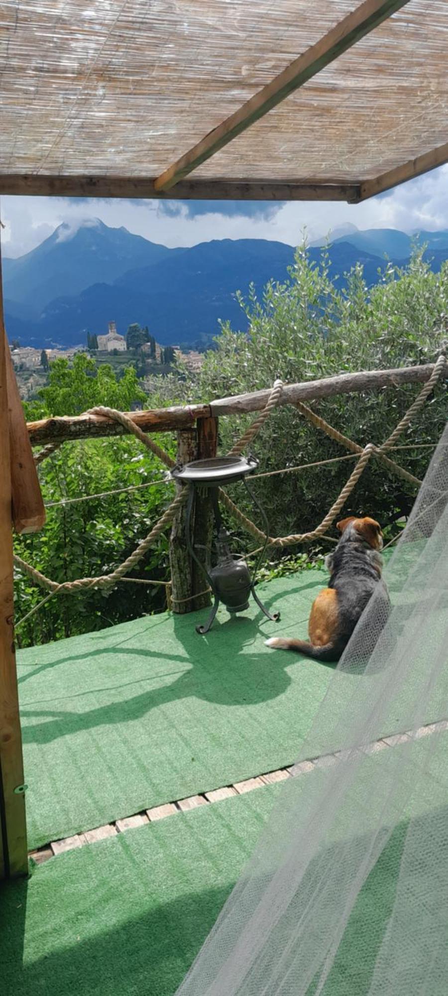 La Fatina Lodge بارغا المظهر الخارجي الصورة